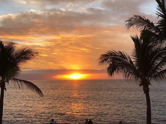 El Patron Viva Vallarta